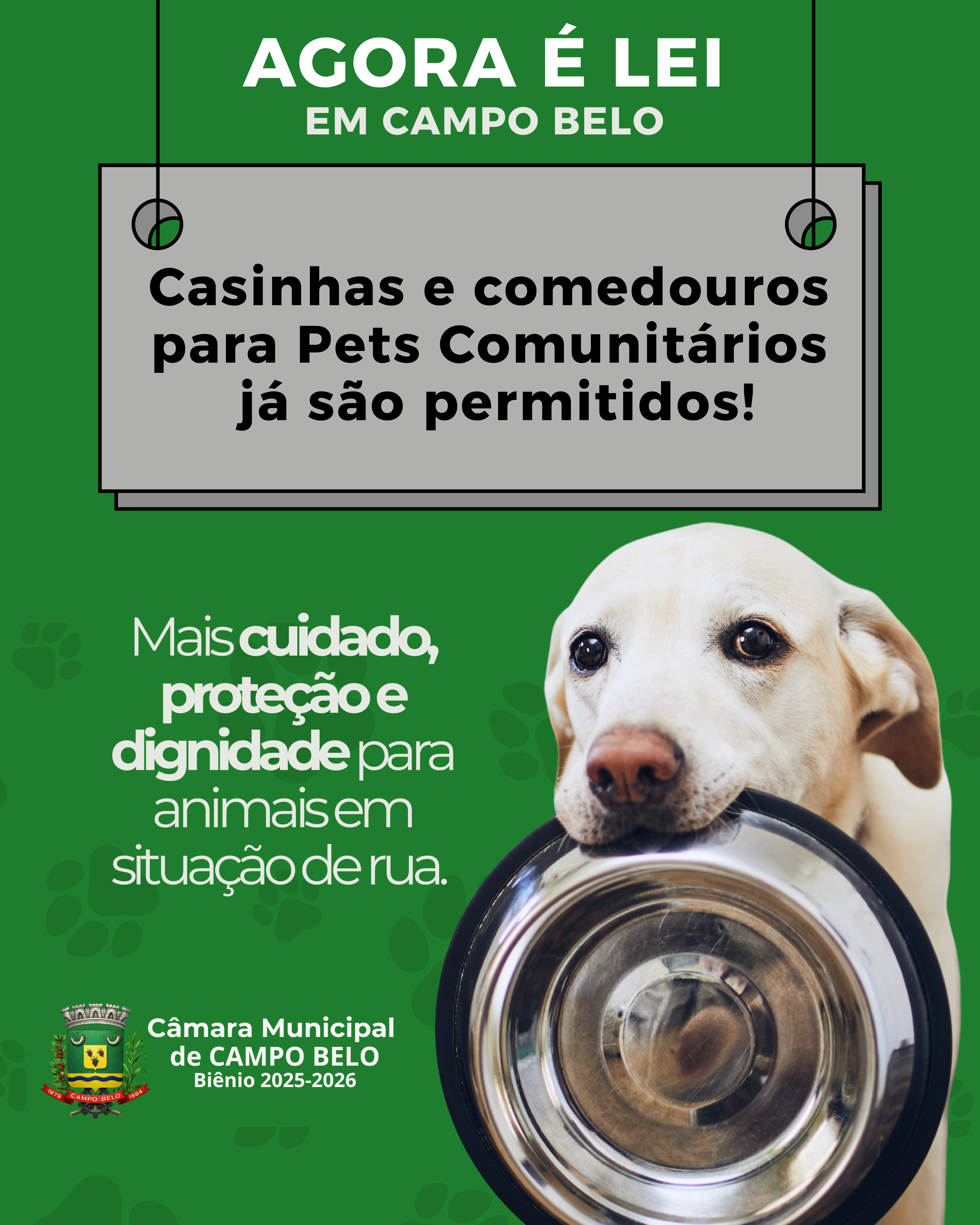 Lei autoriza instalação de casinhas e comedouros para pets comunitários em Campo Belo