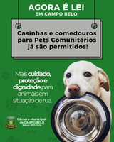 Lei autoriza instalação de casinhas e comedouros para pets comunitários em Campo Belo