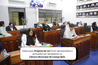 Últimas votações antes do Recesso: Projetos Aprovados